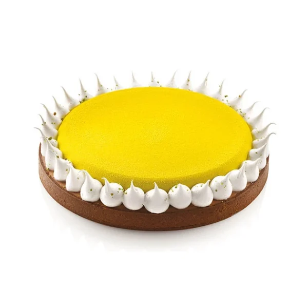 Kit Moule Silicone 1 Tarte Ø 230mm Silikomart Professional destockage 3