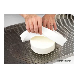 qualité supérieure Moule Silicone 15 Empreintes Rondes Ø100 Mm Silikomart 12
