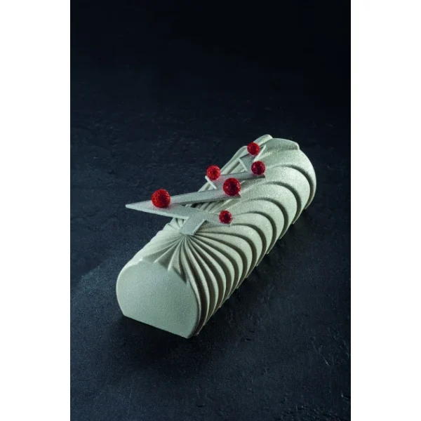 Moule Silicone Bûche Comète 25 X 8,8 Cm X H 7,3 Cm Pavoni qualité supérieure 5