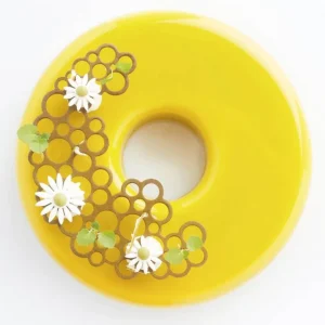 à prix imbattables Moule Silicone Décor Cercles 13,8 X 9,4 X H 0,2 (x3) Pavoni 7