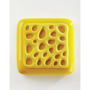magasin france Moule Silicone Décor Éponge 13,5 Cm X H 1 Cm (x2) Pavoni 6