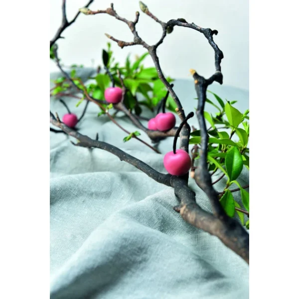 grossiste en ligne Moule Silicone Gourmand Cerise Ø 2,6 X H 1,2 Cm (x35) Pavoni 4