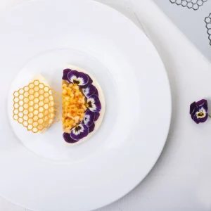 Moule Silicone Gourmand Rayon De Miel 6,7 X 6 X H 0,2 (x8) Pavoni le grand escompte 9