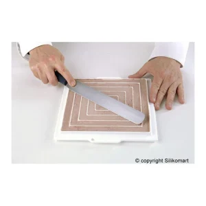 Moule Silicone Insert 12 Carrés 26 Cm Silikomart Professional Satisfait ou Remboursé 14
