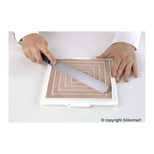 Moule Silicone Insert 12 Carrés 26 Cm Silikomart Professional Satisfait ou Remboursé 5