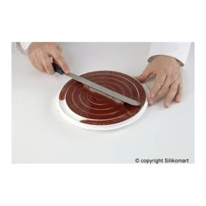 grande popularité Moule Silicone Insert 12 Cercles Ø 26 Cm Silikomart Professional 13