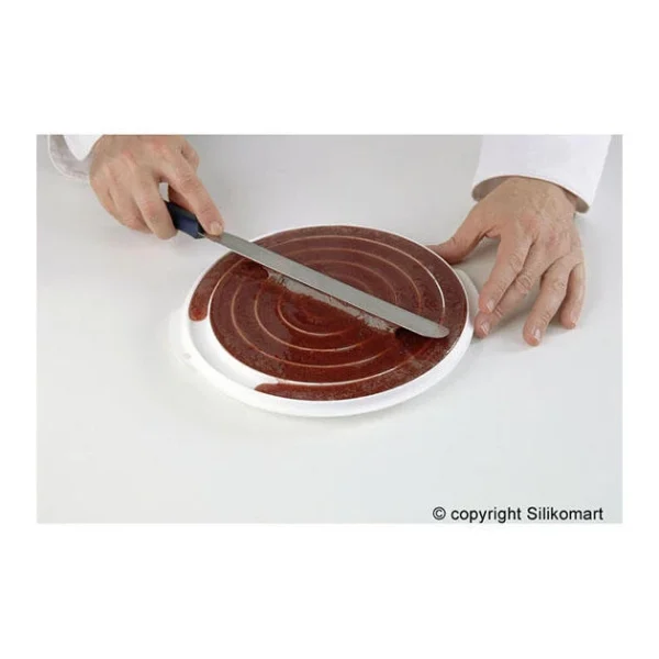 grande popularité Moule Silicone Insert 12 Cercles Ø 26 Cm Silikomart Professional 4