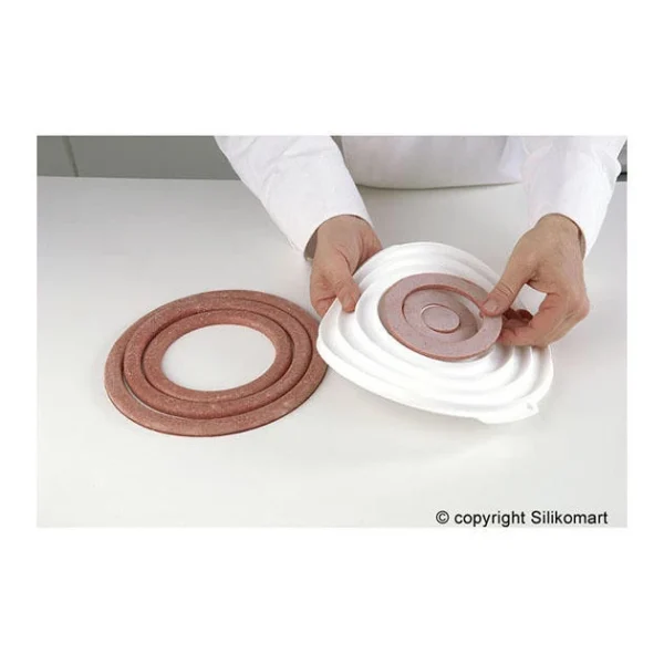 grande popularité Moule Silicone Insert 12 Cercles Ø 26 Cm Silikomart Professional 5