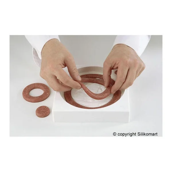 grande popularité Moule Silicone Insert 12 Cercles Ø 26 Cm Silikomart Professional 6