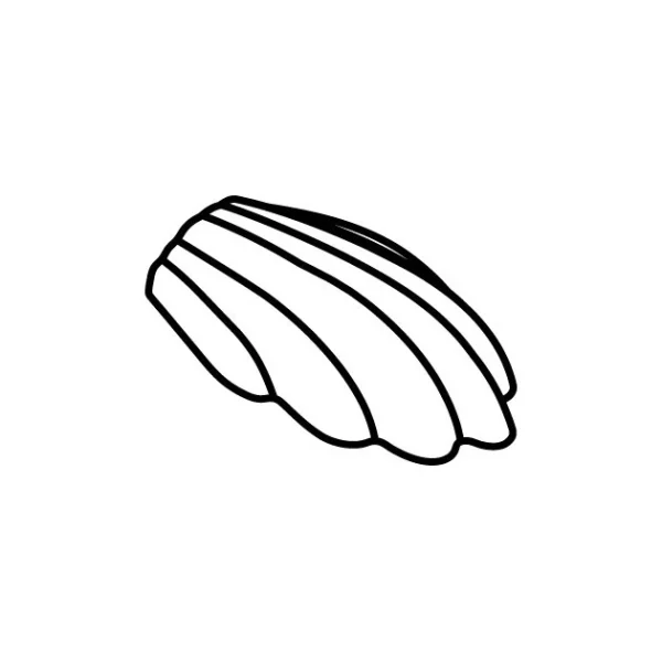 beauté Moule Silicone Madeleine 7,8 X 4,5 Cm X H 1,8 Cm (x44) Pavoflex 4