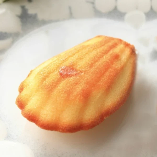 beauté Moule Silicone Madeleine 7,8 X 4,5 Cm X H 1,8 Cm (x44) Pavoflex 1