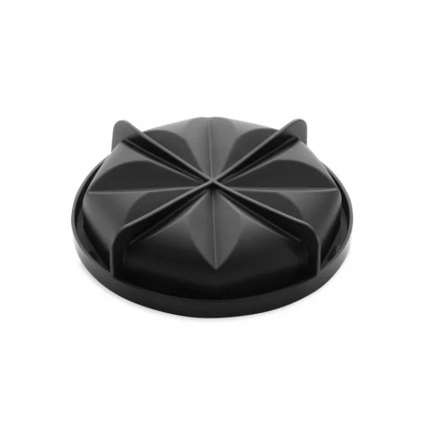 Moule Silicone Rond Sunny Ø 18 Cm X H 5 Cm Pavoni magasin 4