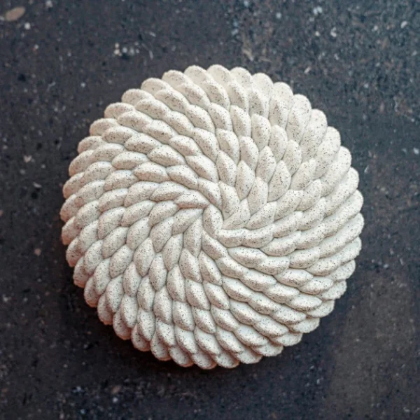 Moule Silicone Saint-Honoré Ø 18 Cm X H 5,6 Cm Cédric Grolet Pavoni dernières 1