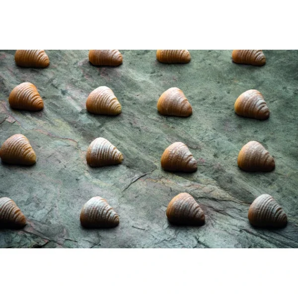 à prix promos Moule Silicone Sfogliatella 4,5 X 4,35 Cm X H 2,2 Cm (x30) Pavoflex 1