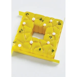 Moule Silicone Tarte Square 15 X H 5,5 Cm Pavoni à prix très bas 6