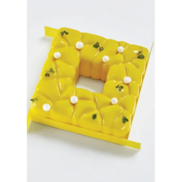 Moule Silicone Tarte Square 15 X H 5,5 Cm Pavoni à prix très bas 3